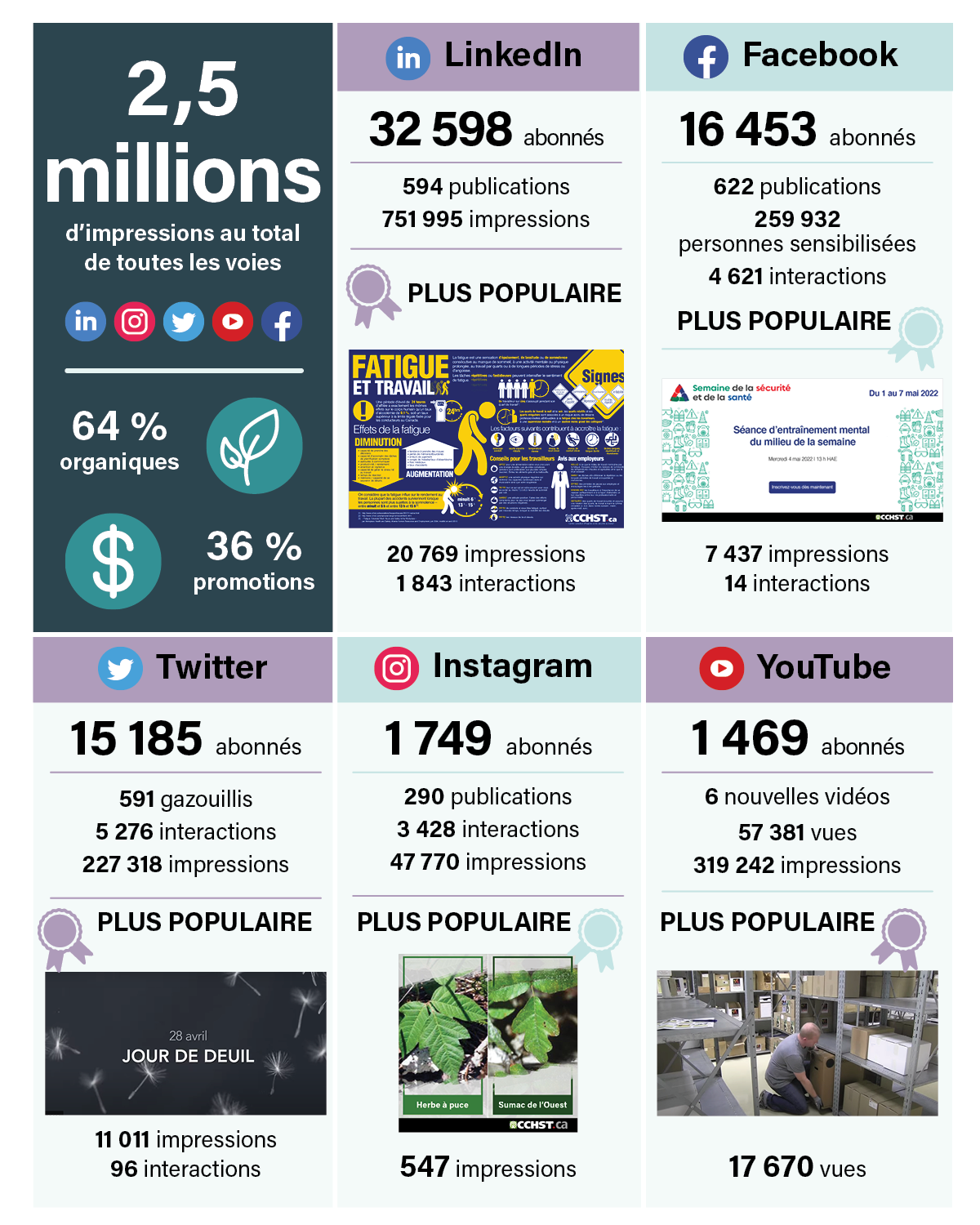 Organic Social Marketing Campaigns infographic